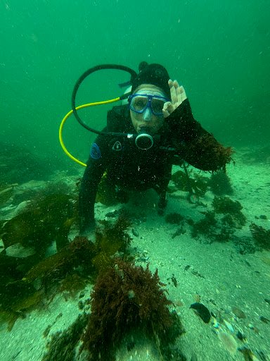 Photo from customer review